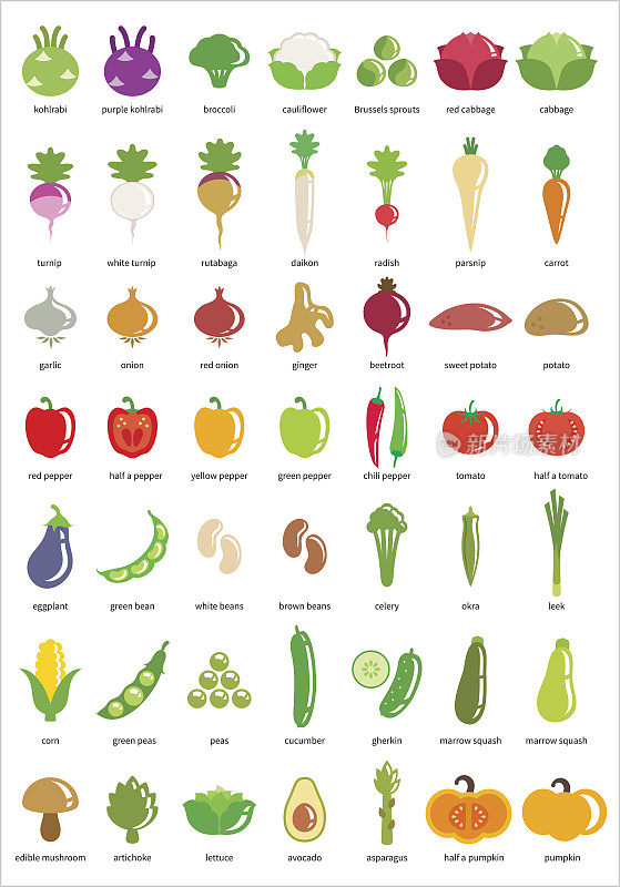 蔬菜图标- 49个矢量图标的大集合